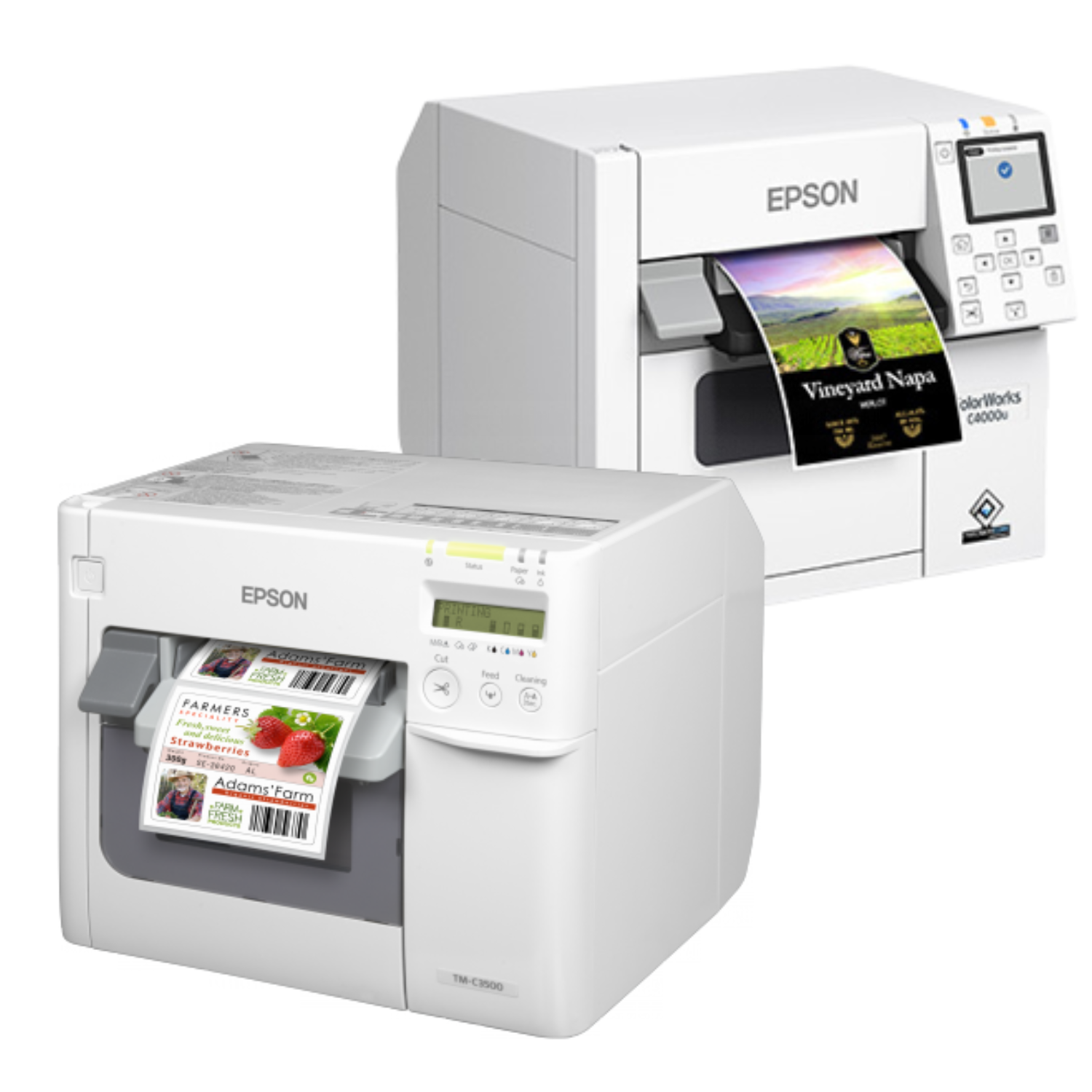 EPSON TM-C3500 et CW-C4000